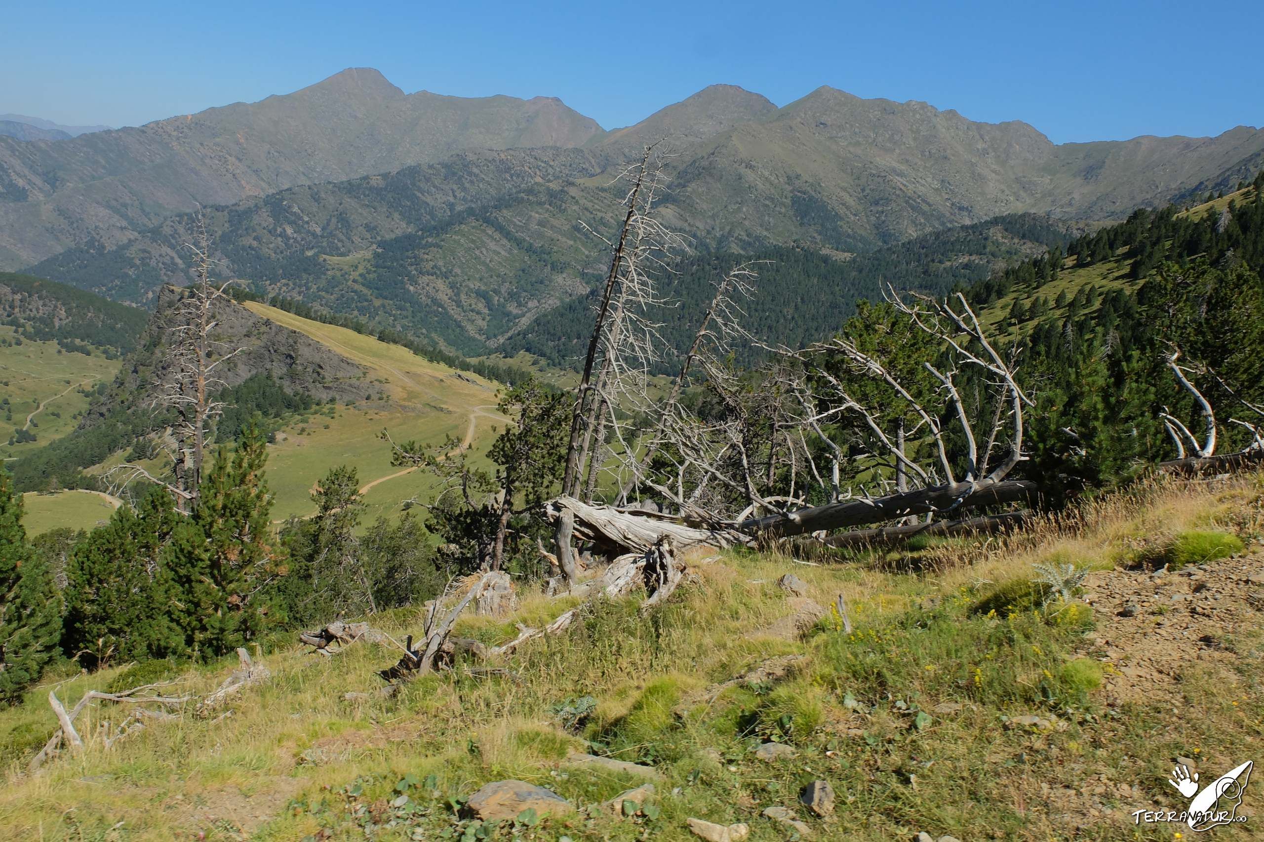 Valle de Tor