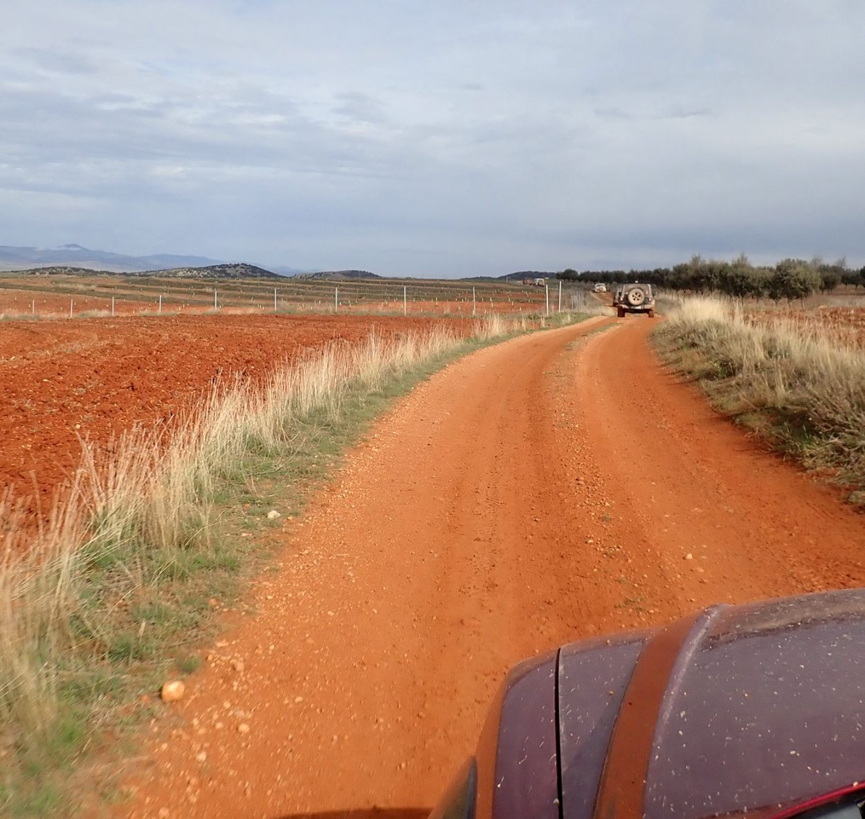 Sabinas en Masía Pelarda - Ruta Terranatur