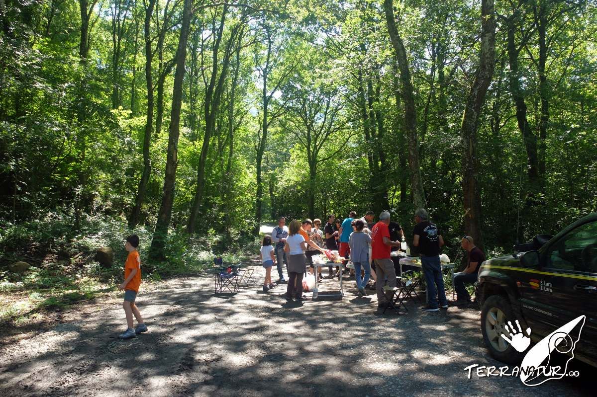 Una parada en el camino en pleno bosque