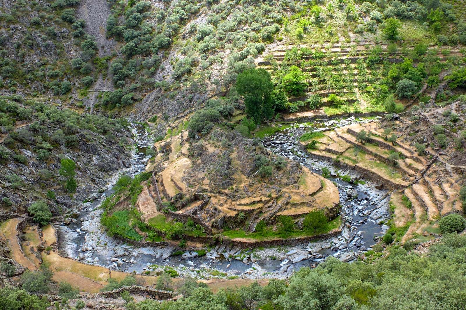 Meandros del río Malvellido. 