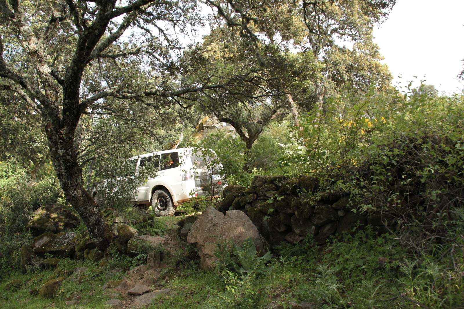 Por caminos de la Sierra de San Vicente