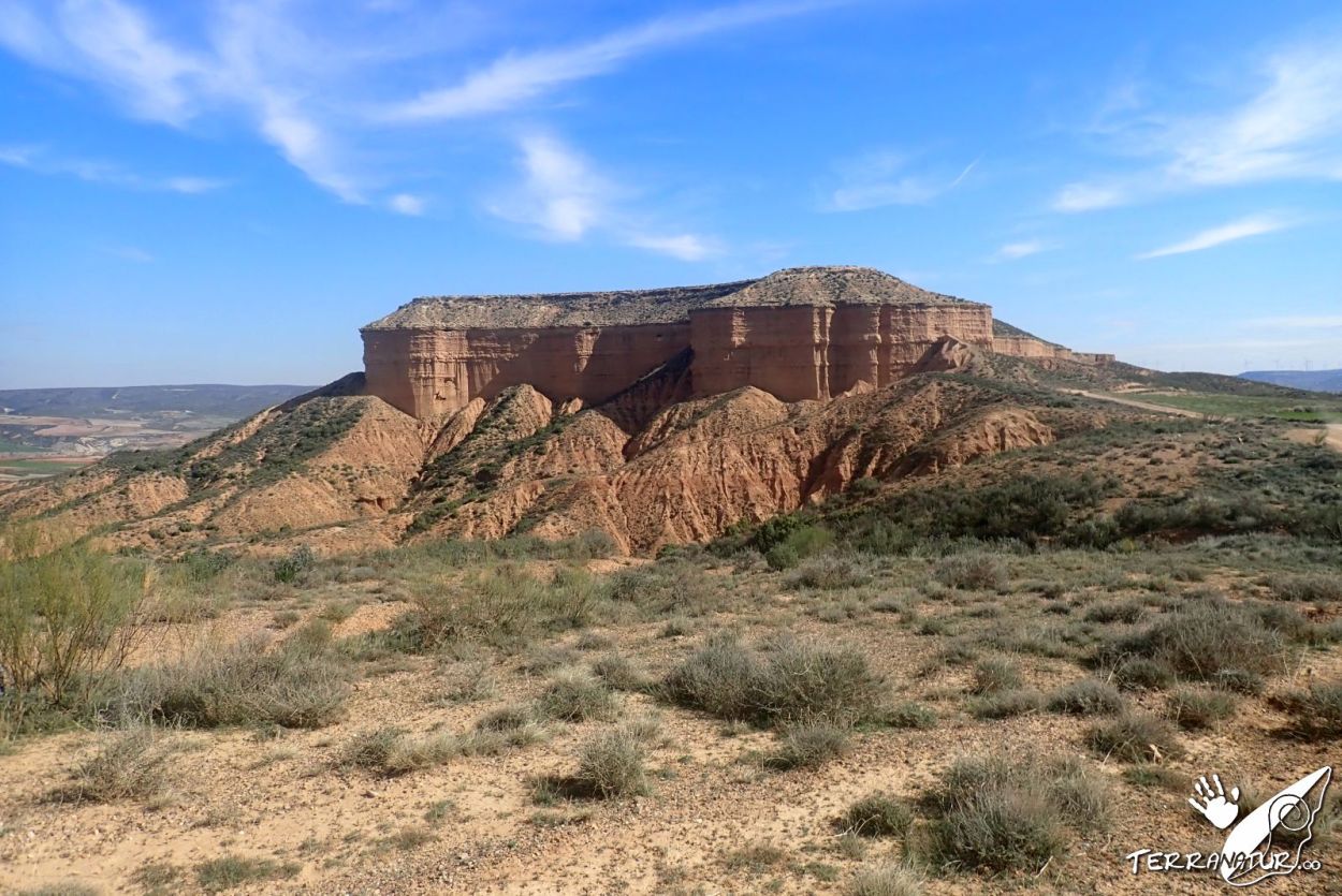 Desiertos Zaragozanos - Ruta Baja con Terranatur