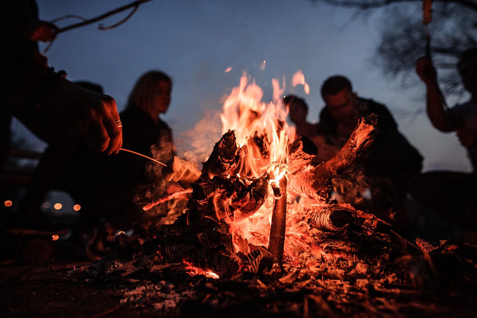 Fuego de campamento