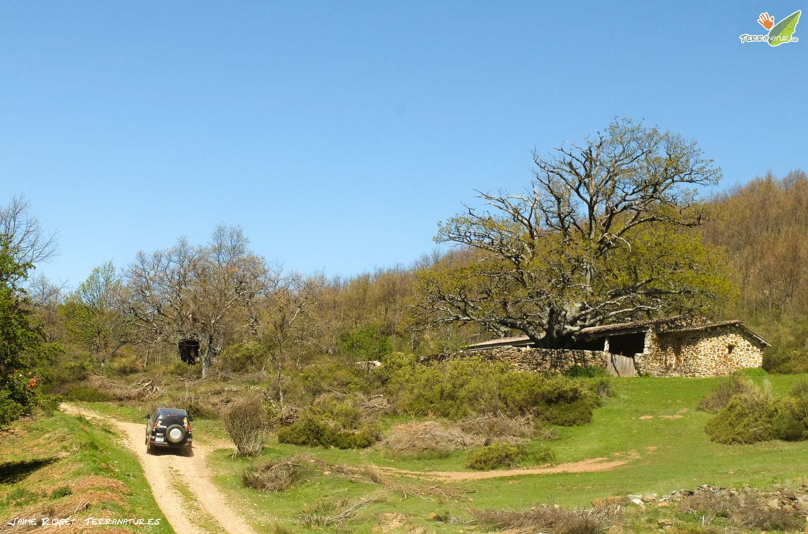 Subiendo al collado de las Doncellas