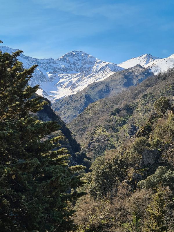 Paisajes de Sierra Nevada