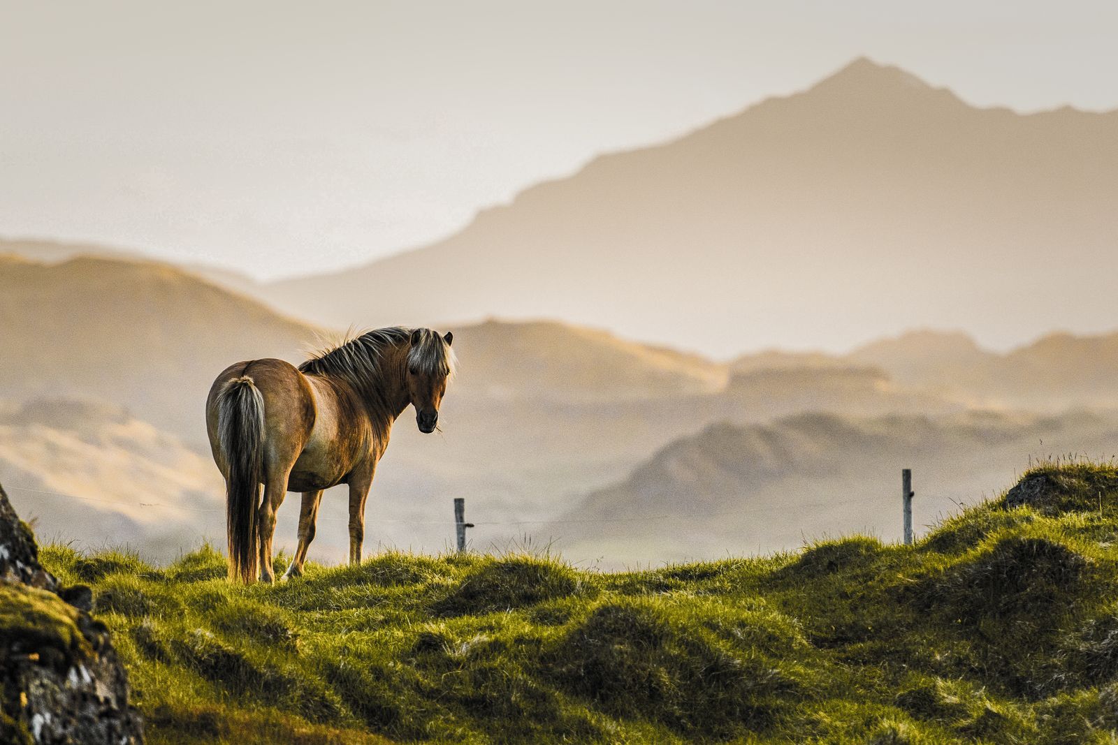 Caballos por Islandia