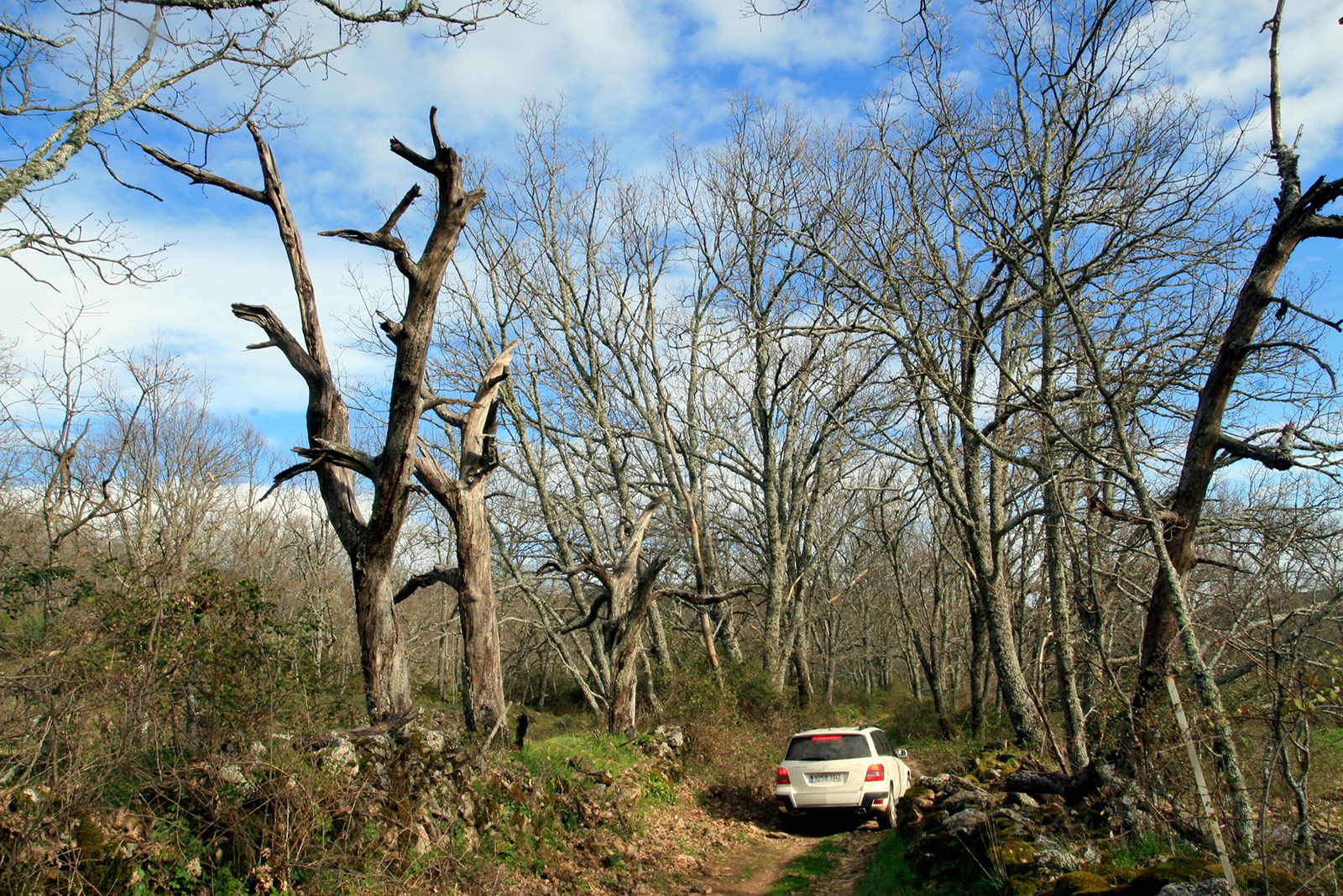 SUV de ruta por Transgredos con Terranatur