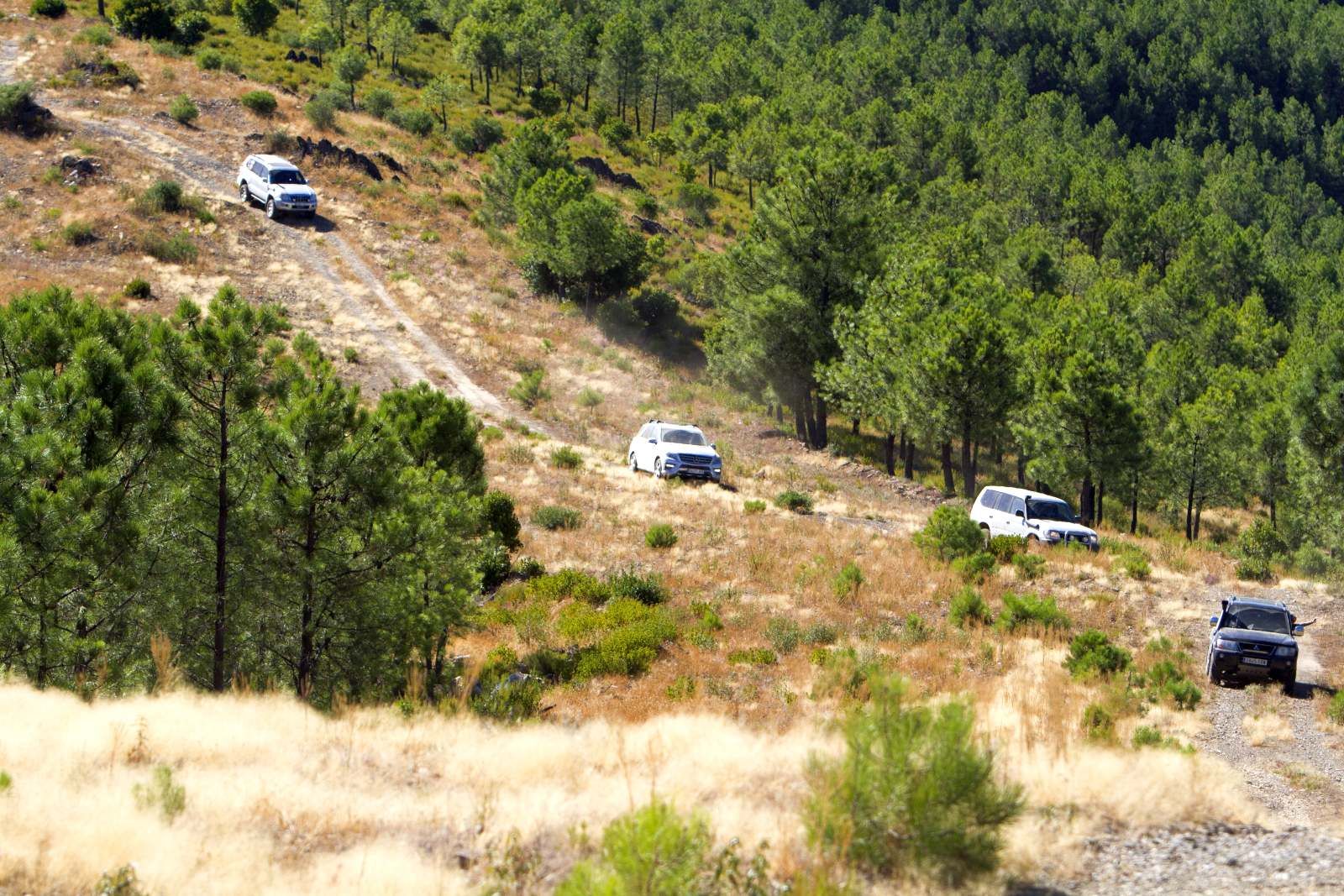 Cortafuegos en las Hurdes