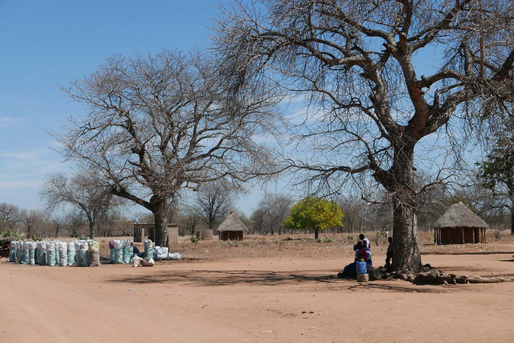 carbón en Mozambique