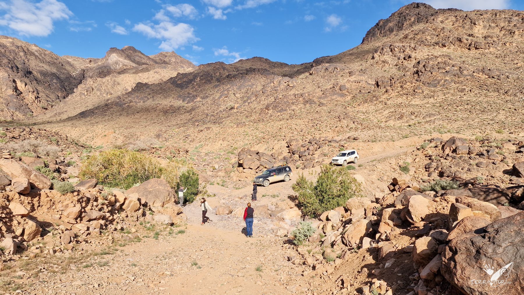 Desiertos pedregosos