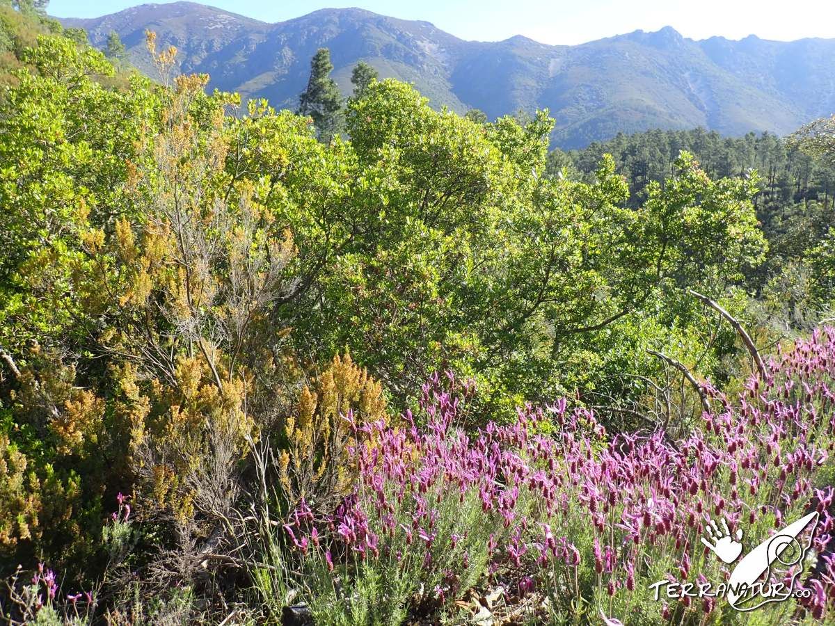 Paisaje de Las Hurdes