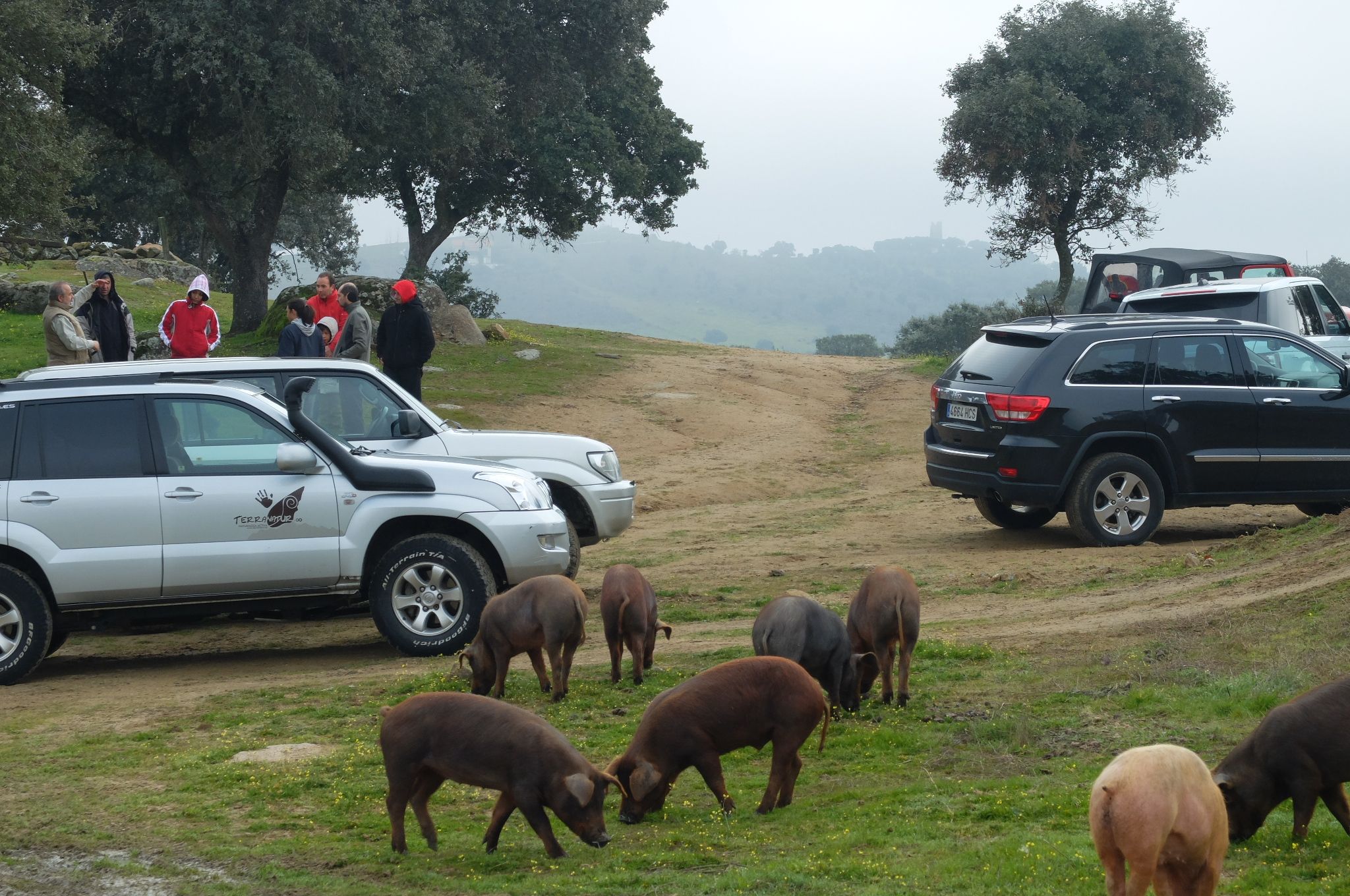 Saliendo de Ruta 4x4 desde Segurilla