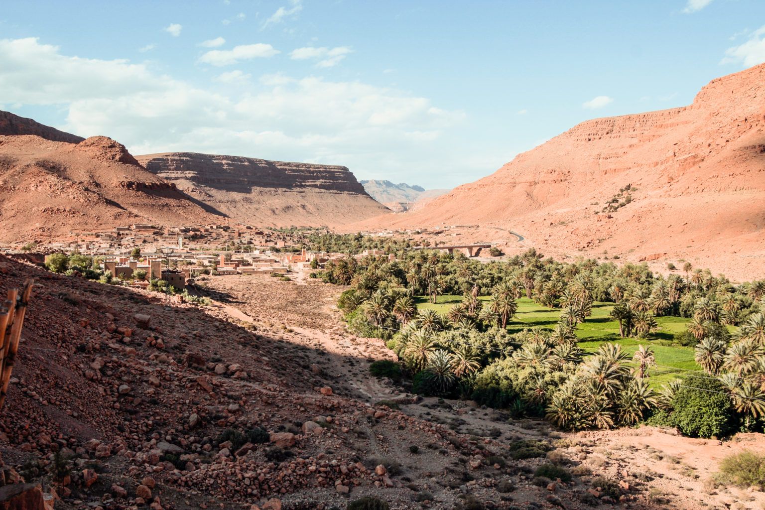 Paisajes de palmerales