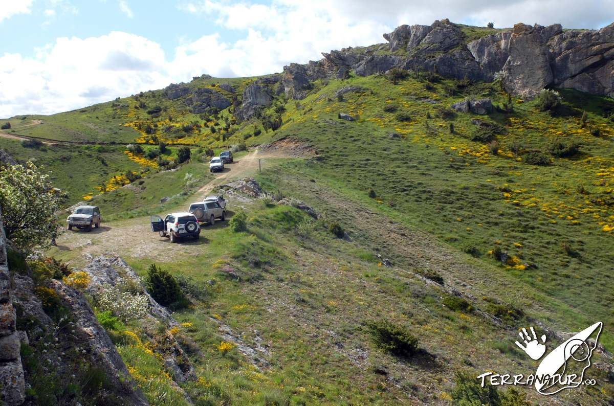 Cerca de la Ermita de Gama. Norte de Palencia.