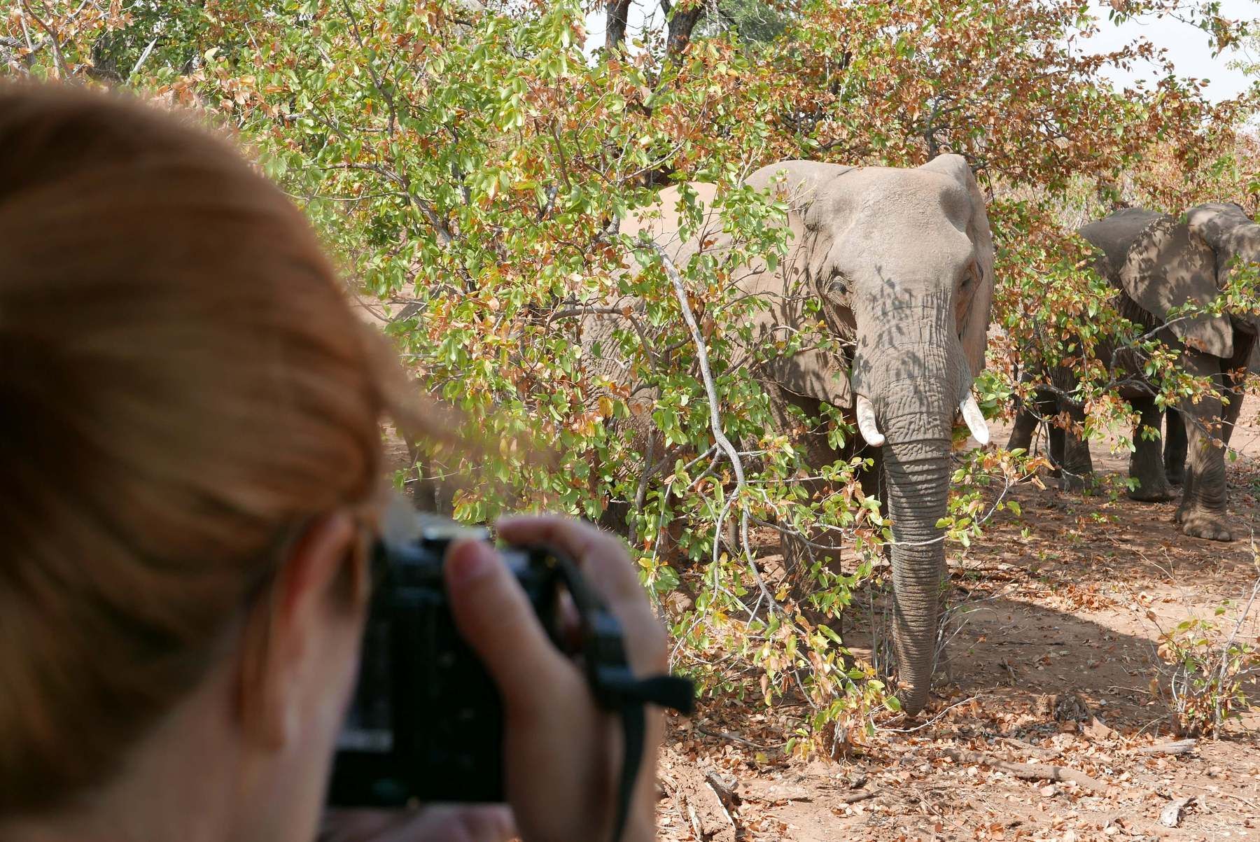 Fotos únicas de fauna en nuestro safari 4x4