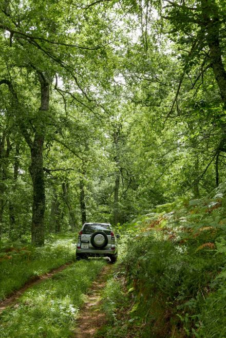 Ruta Terranatur 4x4 por castañares