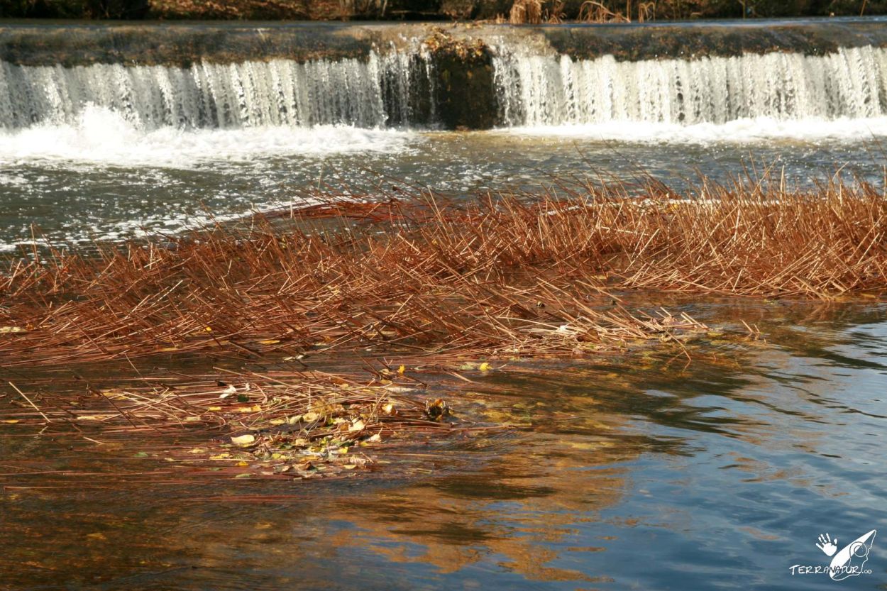 Hay agua por todos sitios