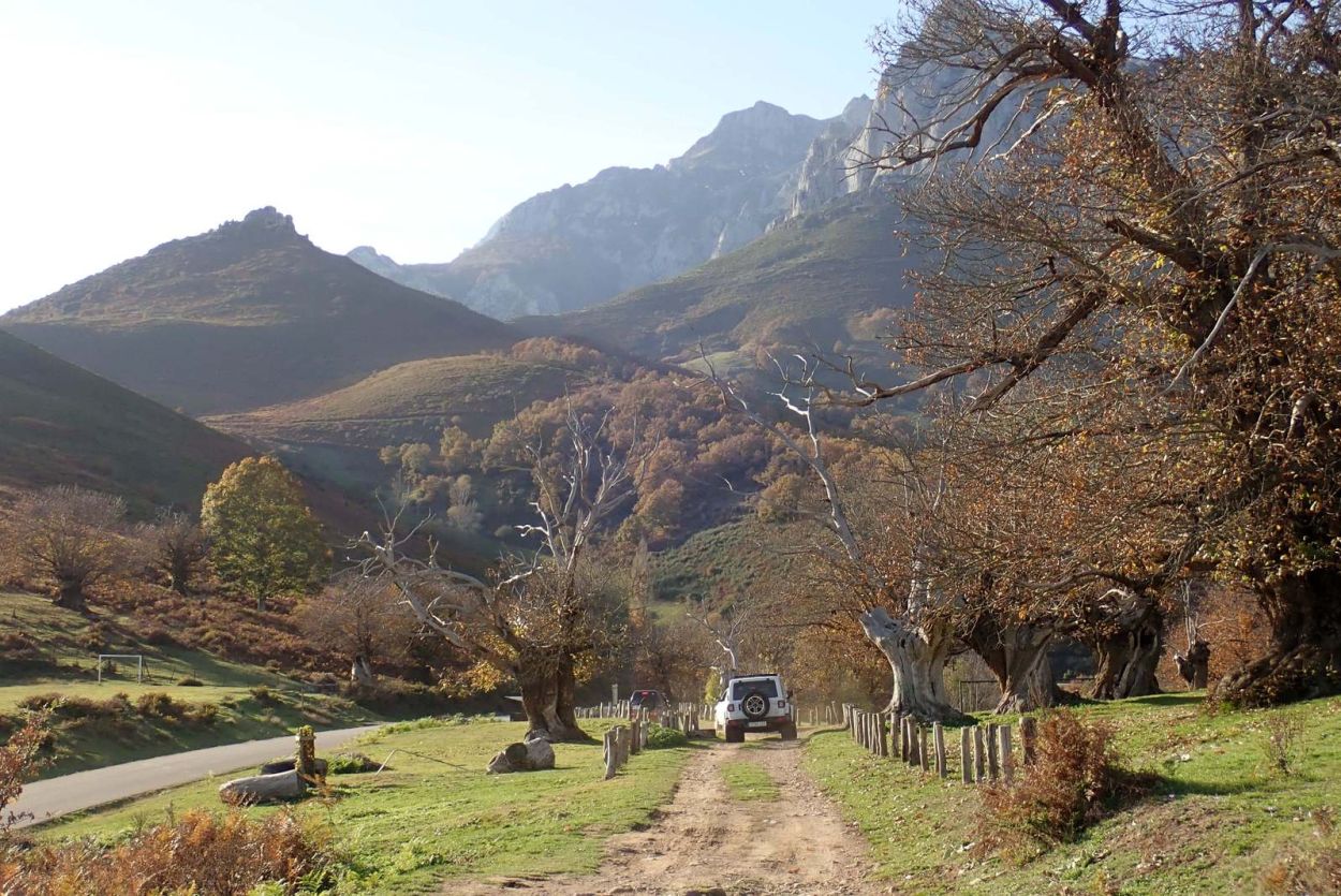 Cerca del castañar del Habario