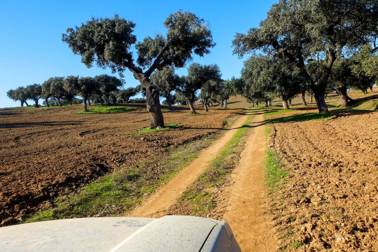 Caminos por Portugal