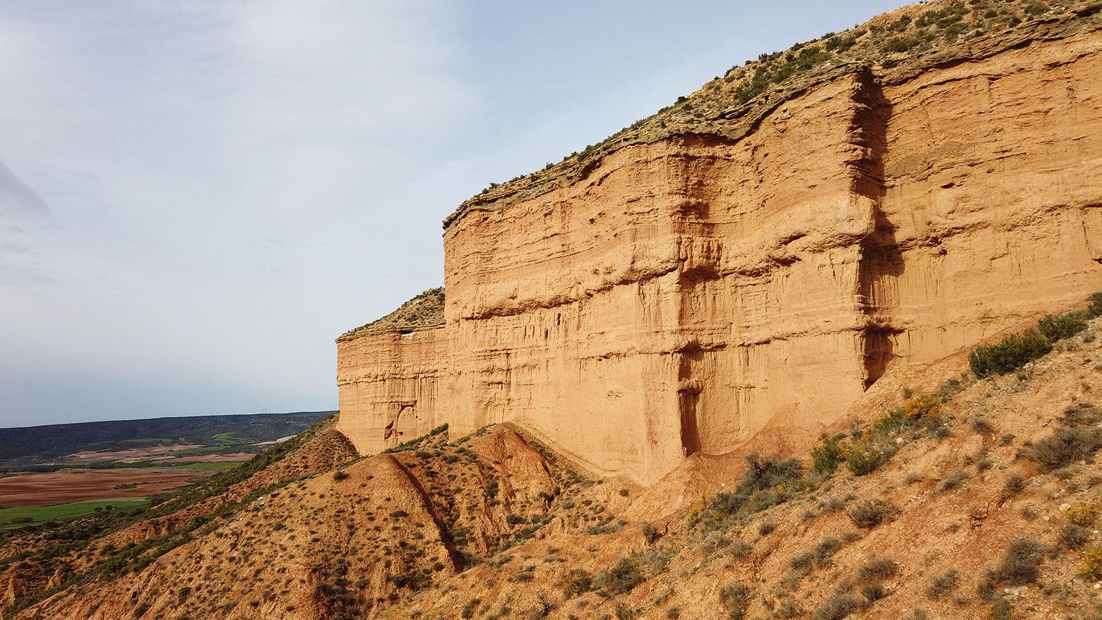 Observación de grullas en la Laguna de Gallocanta.