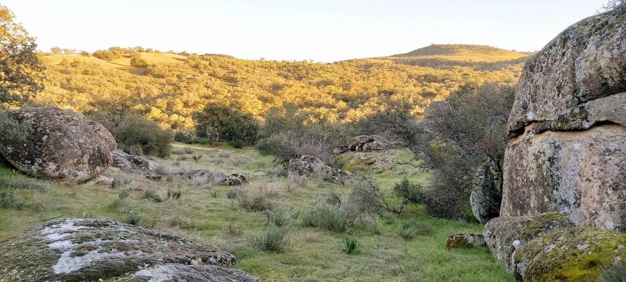 Monte mediterráneo en la finca Las Malatas