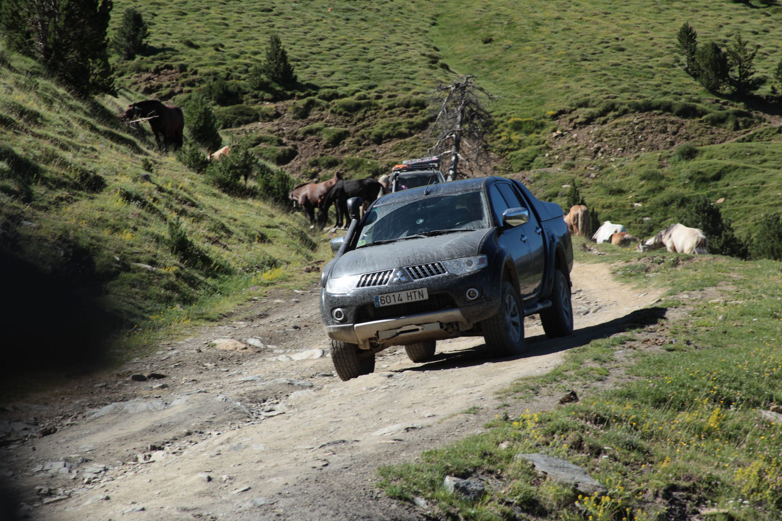 Por caminos de la Sierra de San Vicente