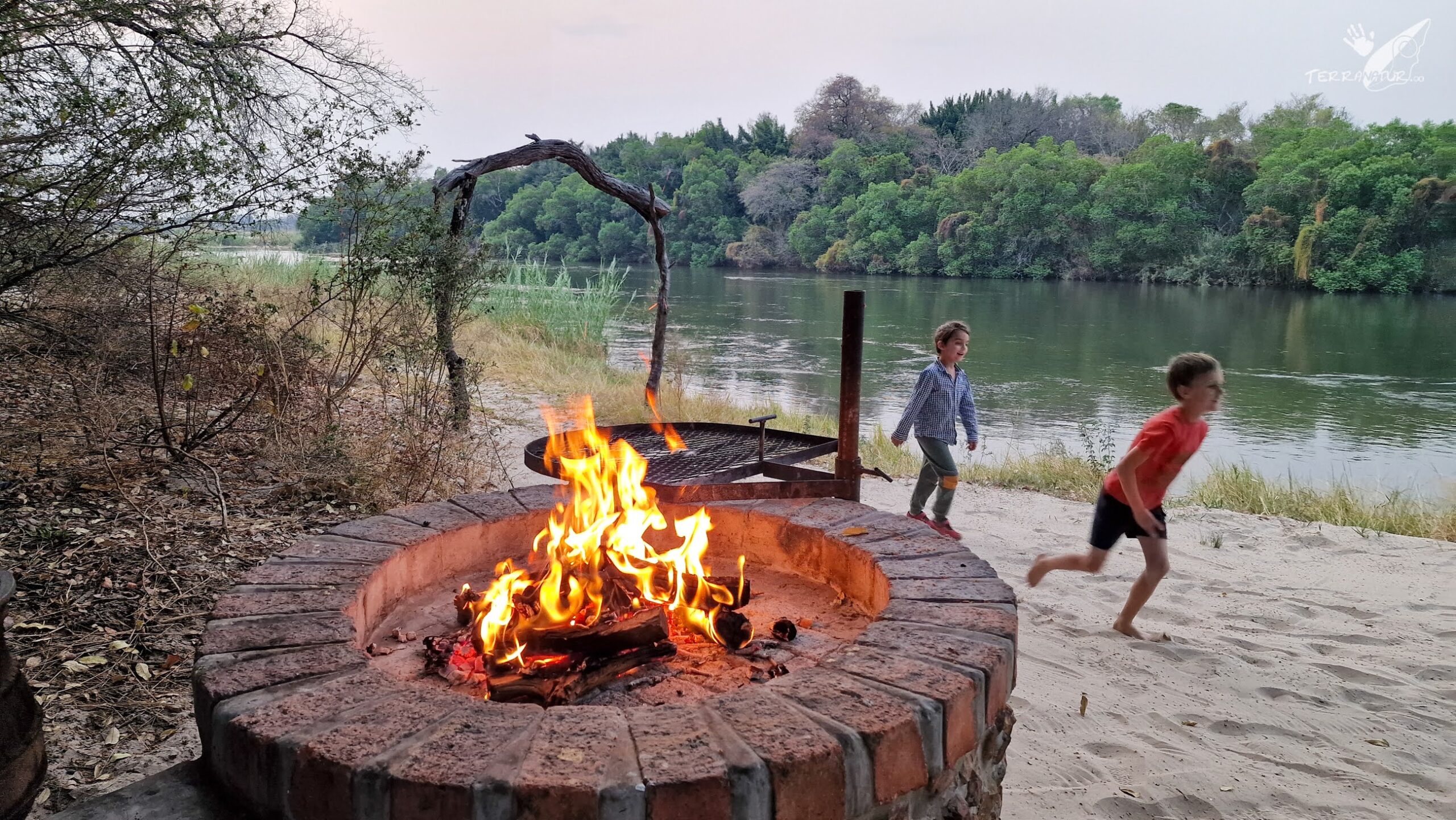 Fuegos de campamento