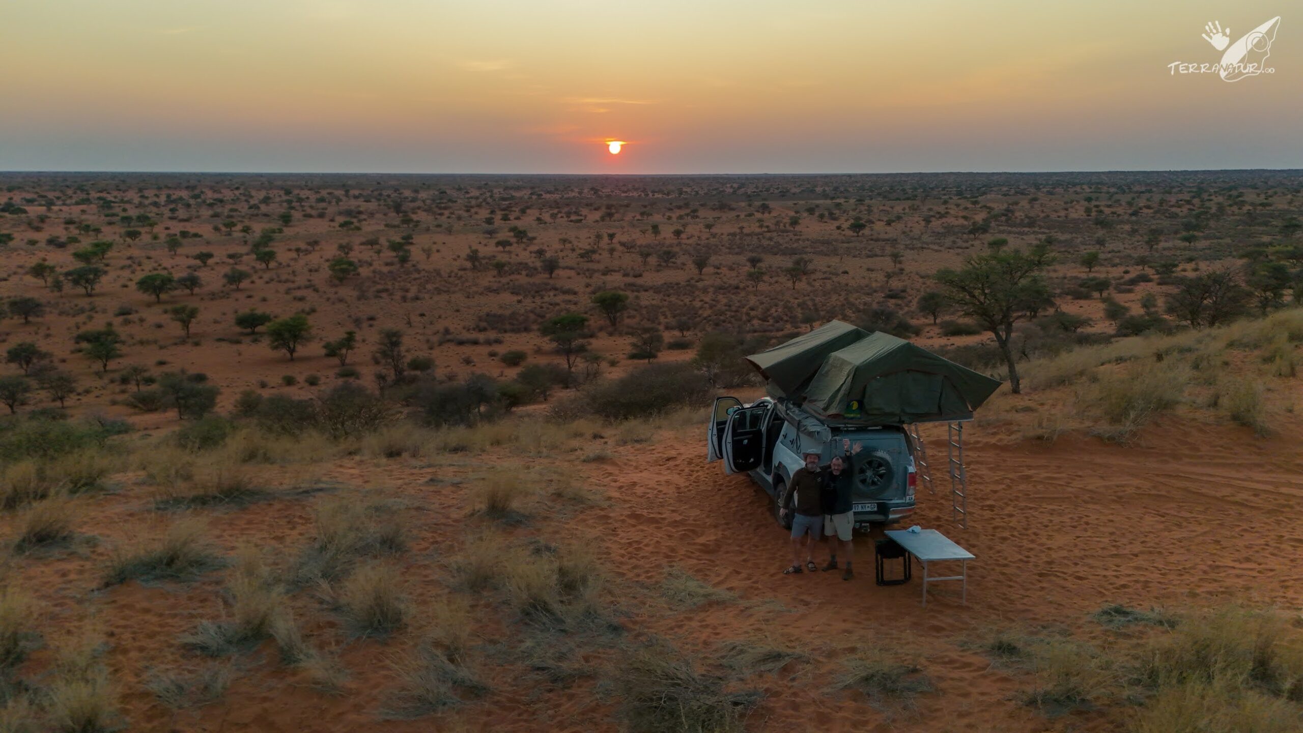 Red sand dunes Kalahari