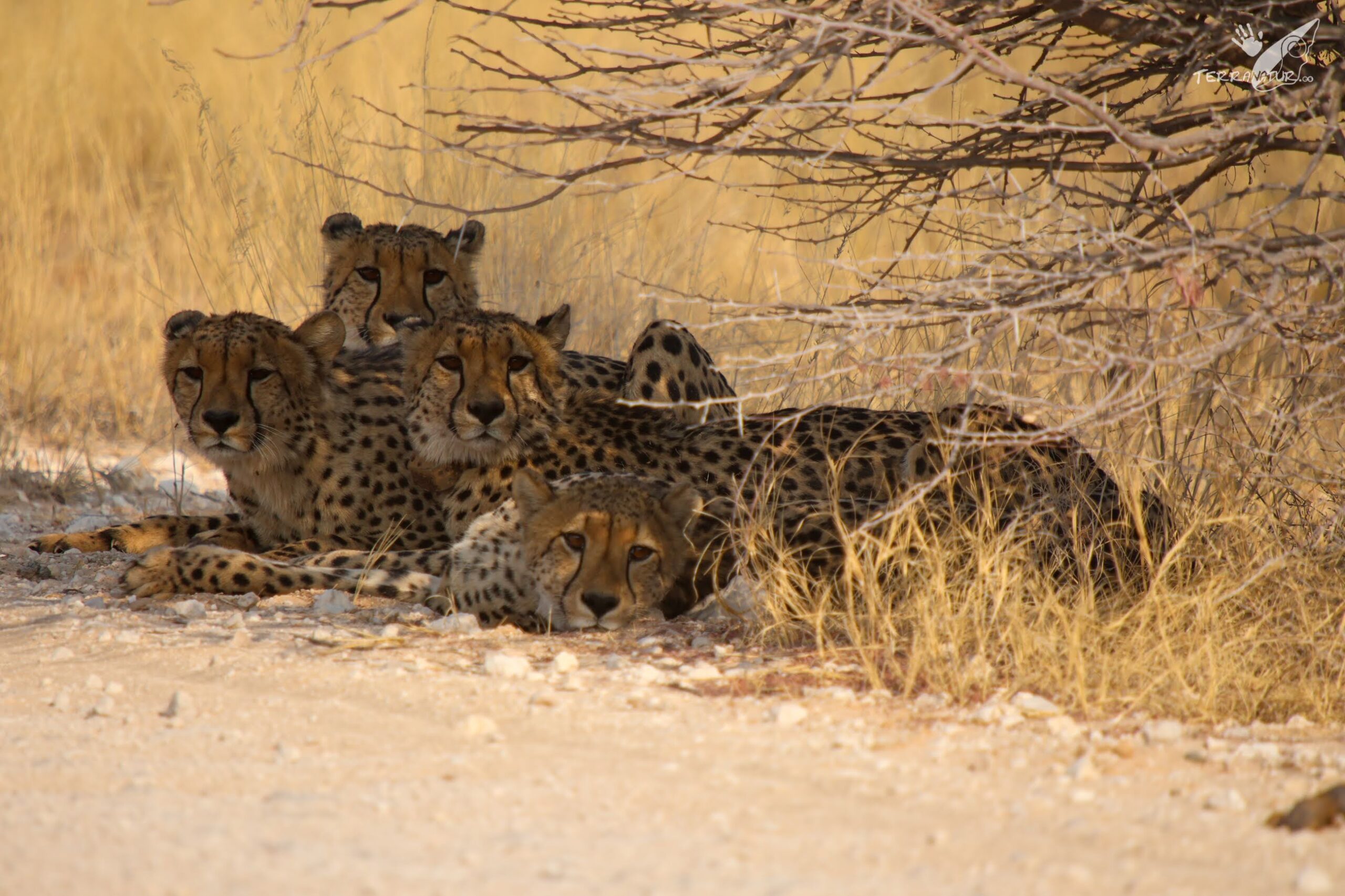 Puesta de sol en Chefchaouen