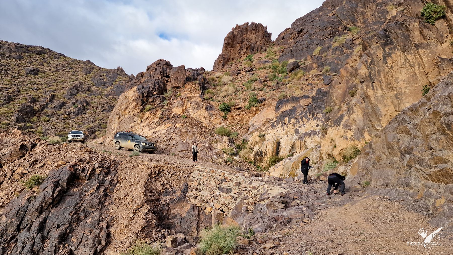 shagro. Antiatlas marroqui