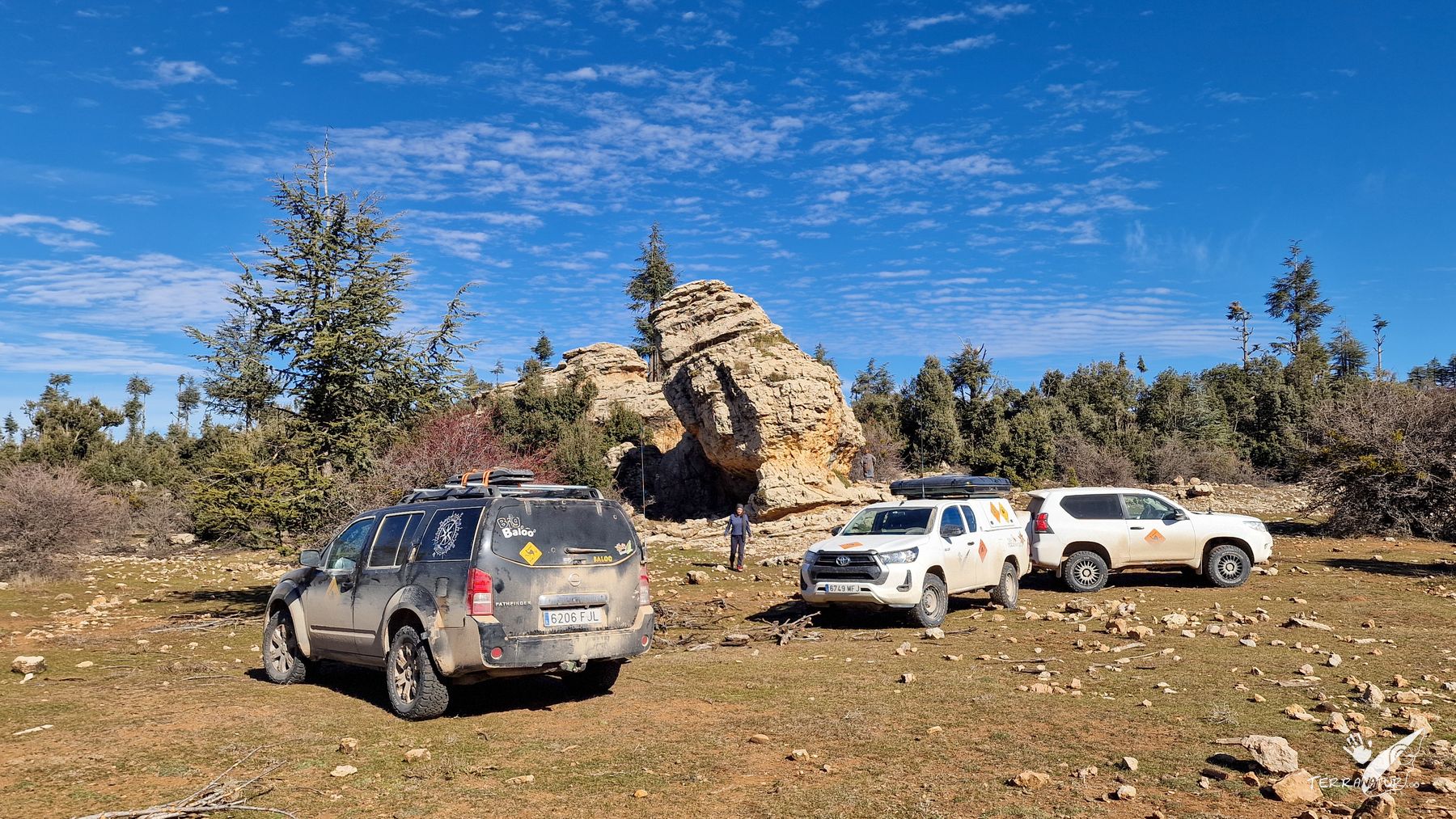 Bosque de Cedros