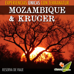 Reserva de viaje a Mozambique-kruger