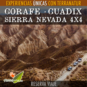 Reserva Gorafe - Guadix - Sierra Nevada