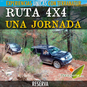 Ruta 4x4 de una jornada