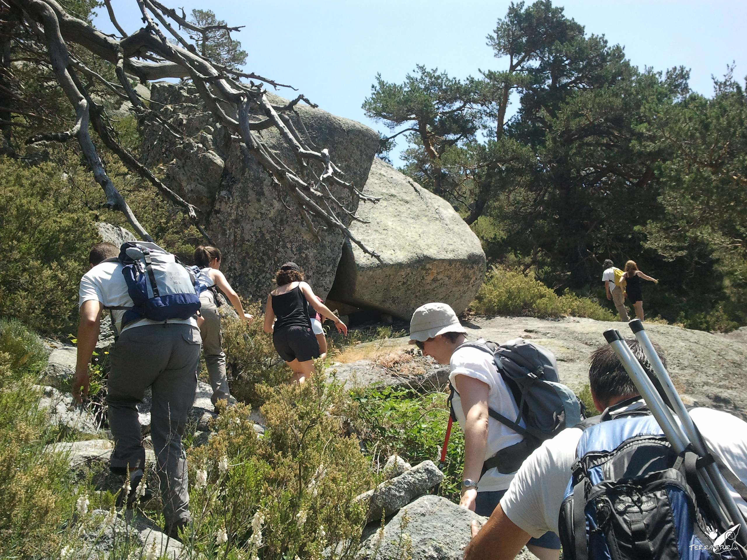 Actividades de empresa con Terranatur