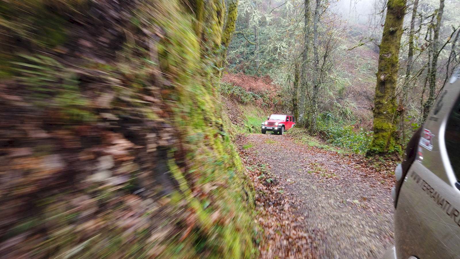 Meandros del río Malvellido.