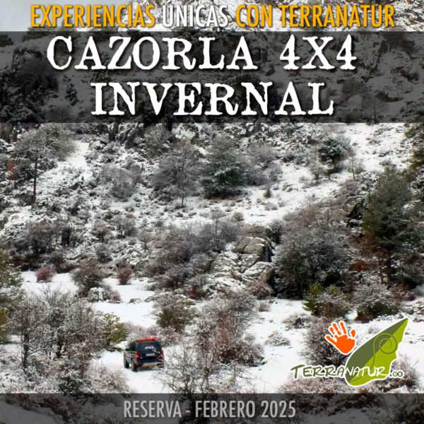 Cazorla Invernal 4x4 con Terranatur