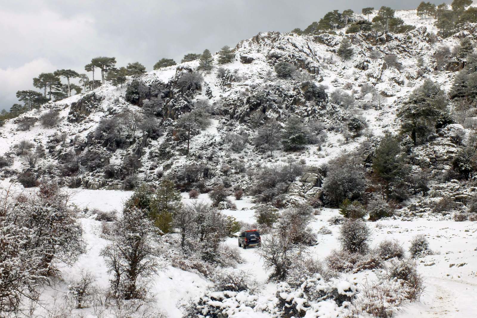 Nieve en las altas cumbres de Segura