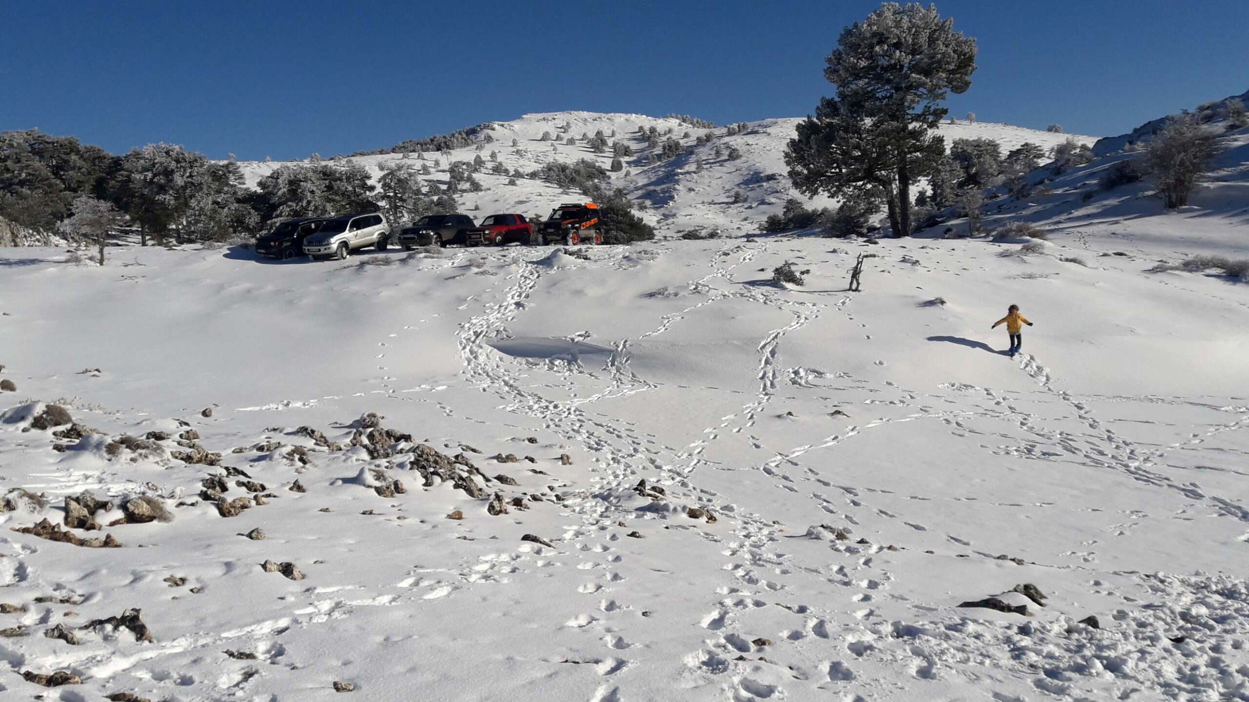Meandros del r&iacute;o Malvellido. 