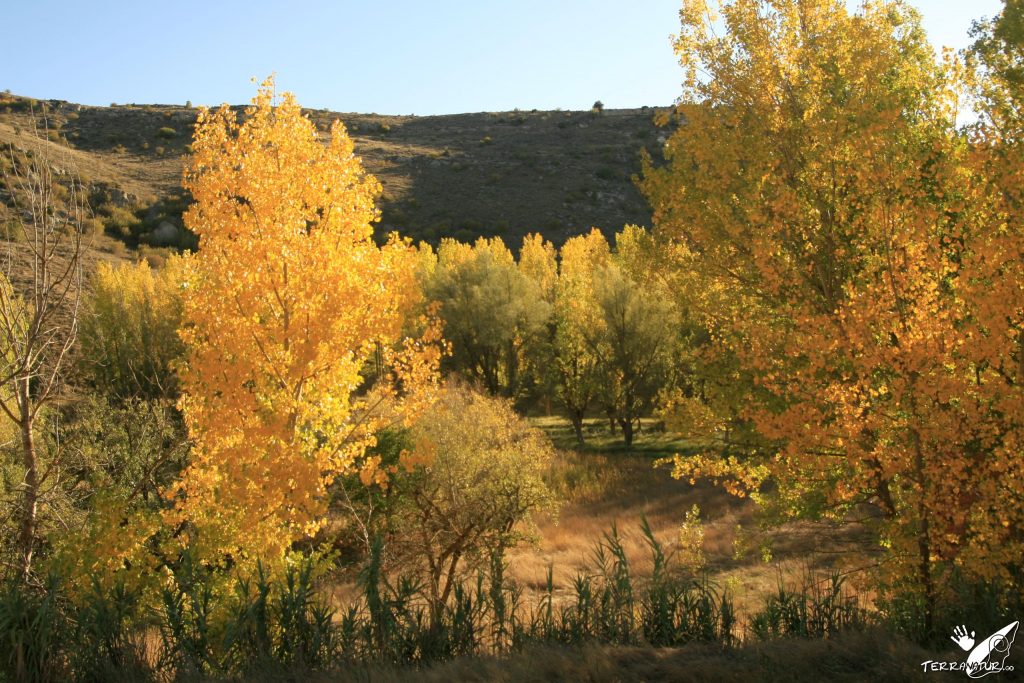 Rutas por la Baja Aragón