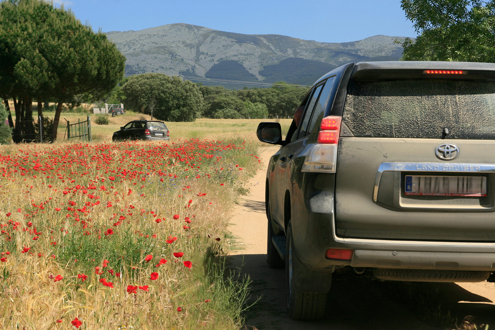 Pradera de Amapolas. En ruta con Terranatur
