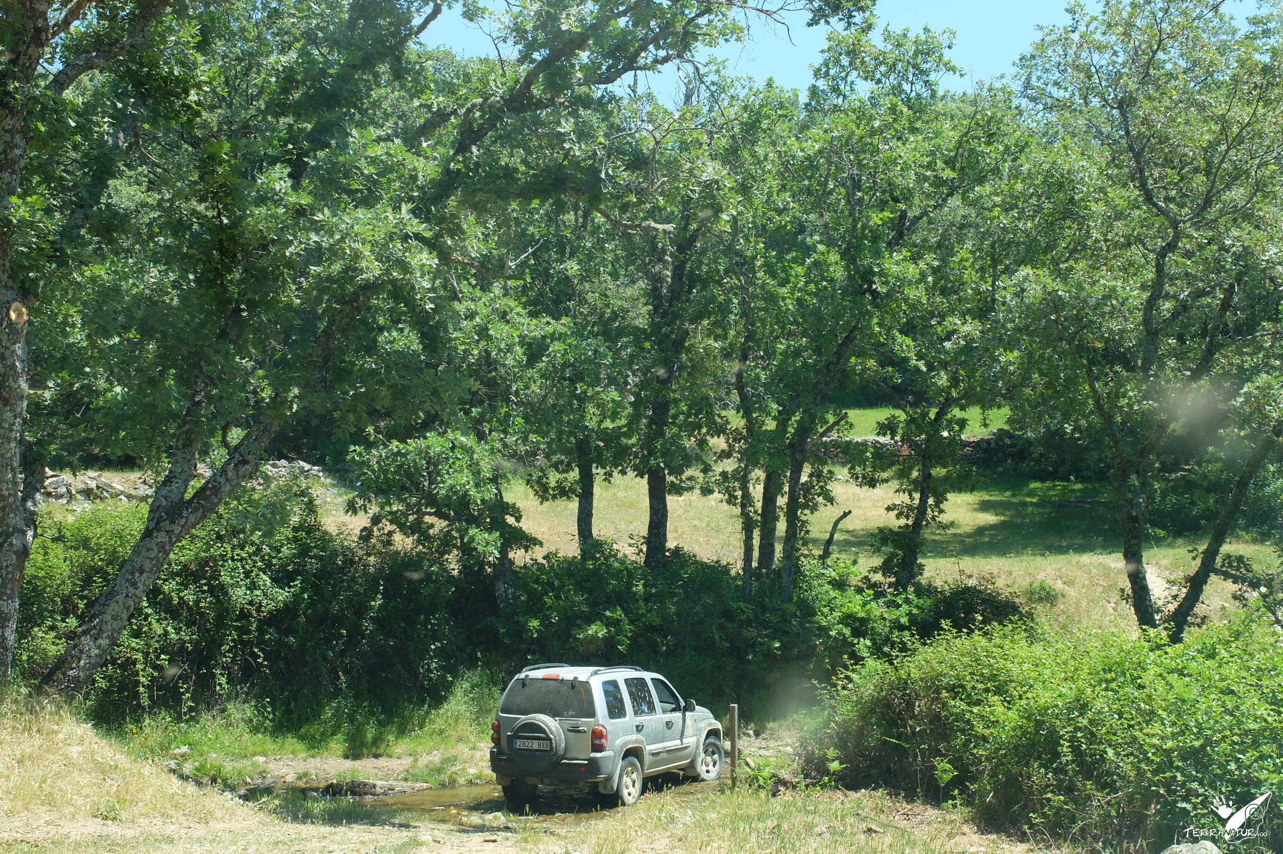 Yincana por la Sierra de San Vicente