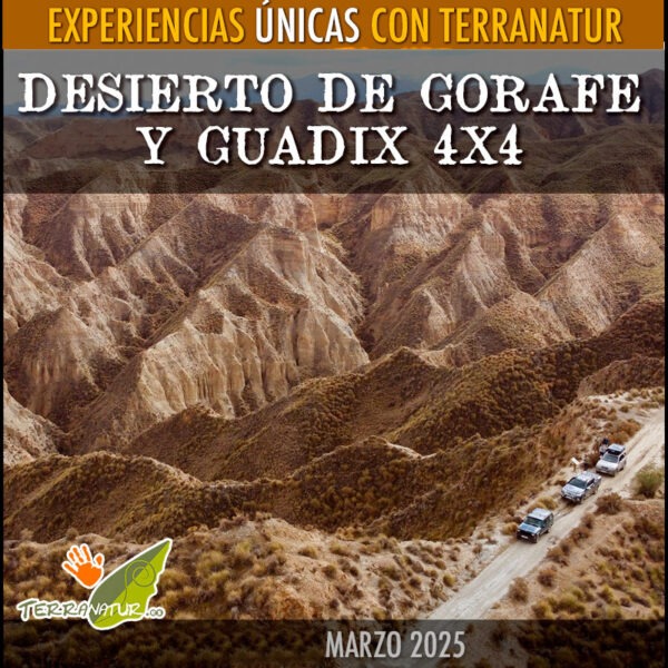 Reserva Desierto de Gorafe y Guadix