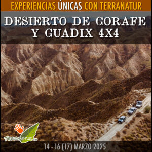 Ticket viaje 4x4 al desierto de Gorafe y Guadix