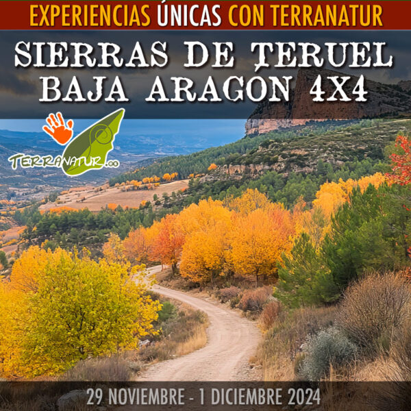 Reserva "Sierras de Teruel. Baja Aragón"