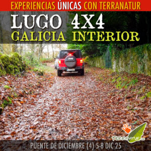 Jeep wrangler en ruta 4x4 en Lugo con Terranatur