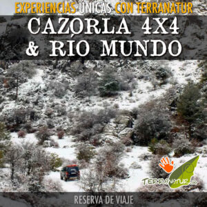 Paisaje nevado en Cazorla - Reserva viaje Terranatur