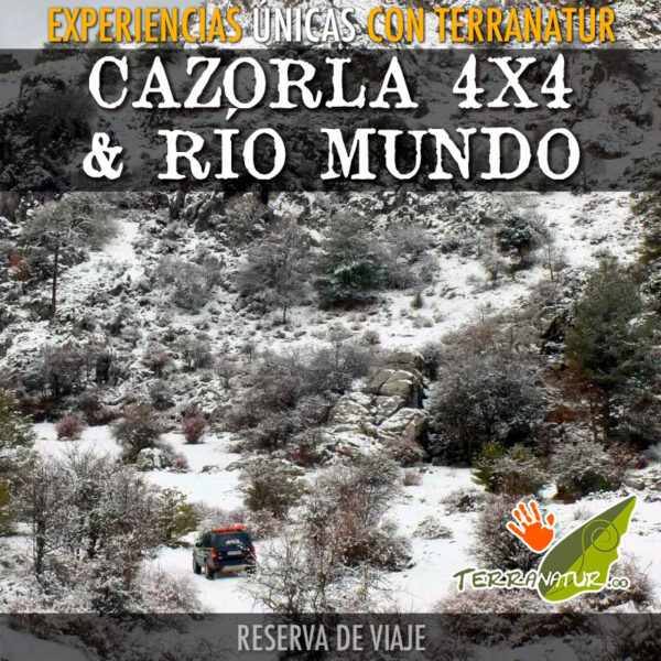 Paisaje nevado en Cazorla - Reserva viaje Terranatur