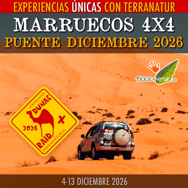 Reserva viaje Marruecos 4x4 puente de diciembre 2026