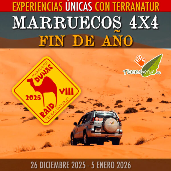 Marruecos 4x4 fin de año, reserva